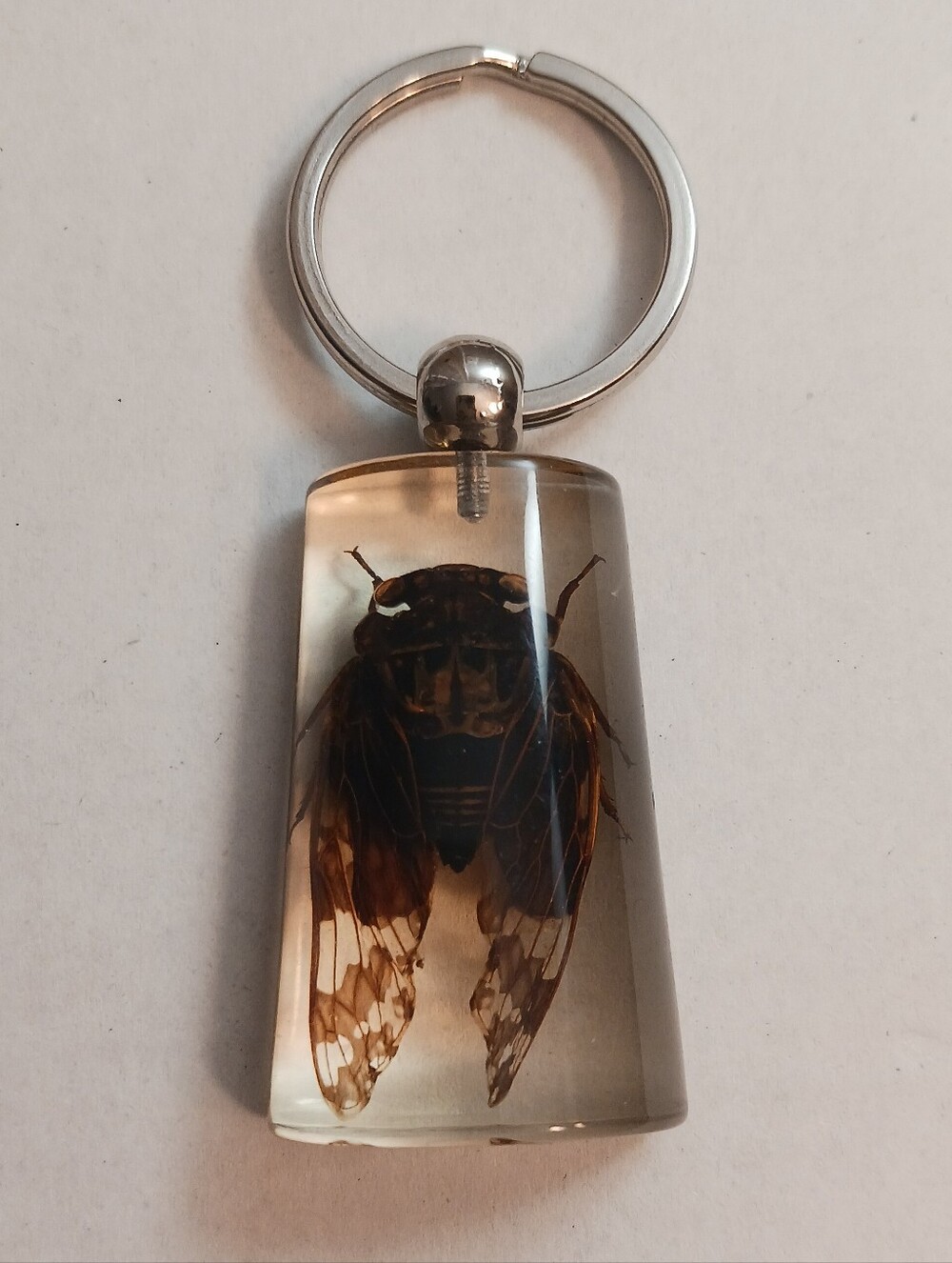 Two's Company Big Bug Keychain , Resin 1.75in Fob , 3in Total